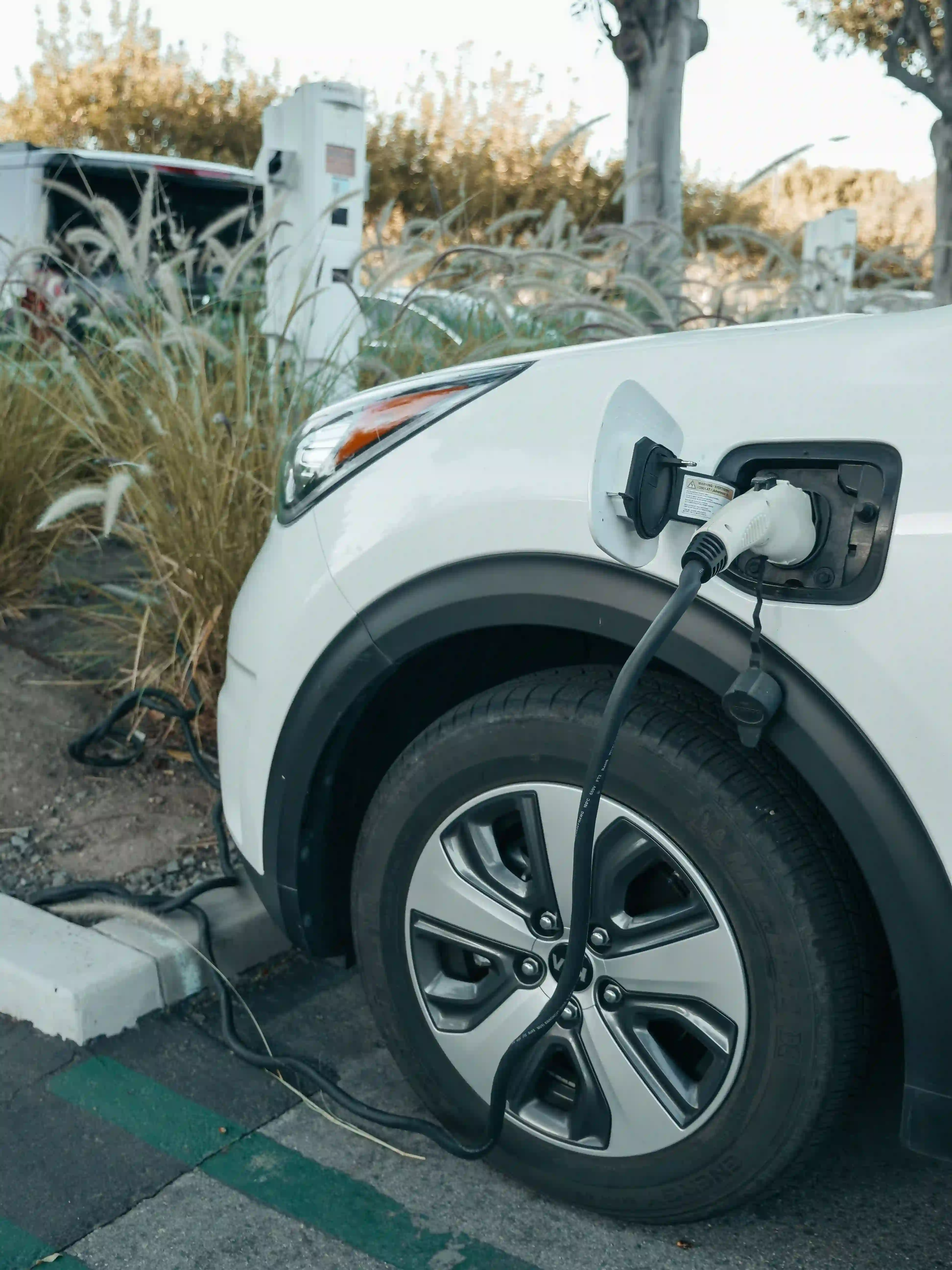 Why a Mexico City PHEV Buyer and a Monterrey PHEV Buyer Have Nothing in Common