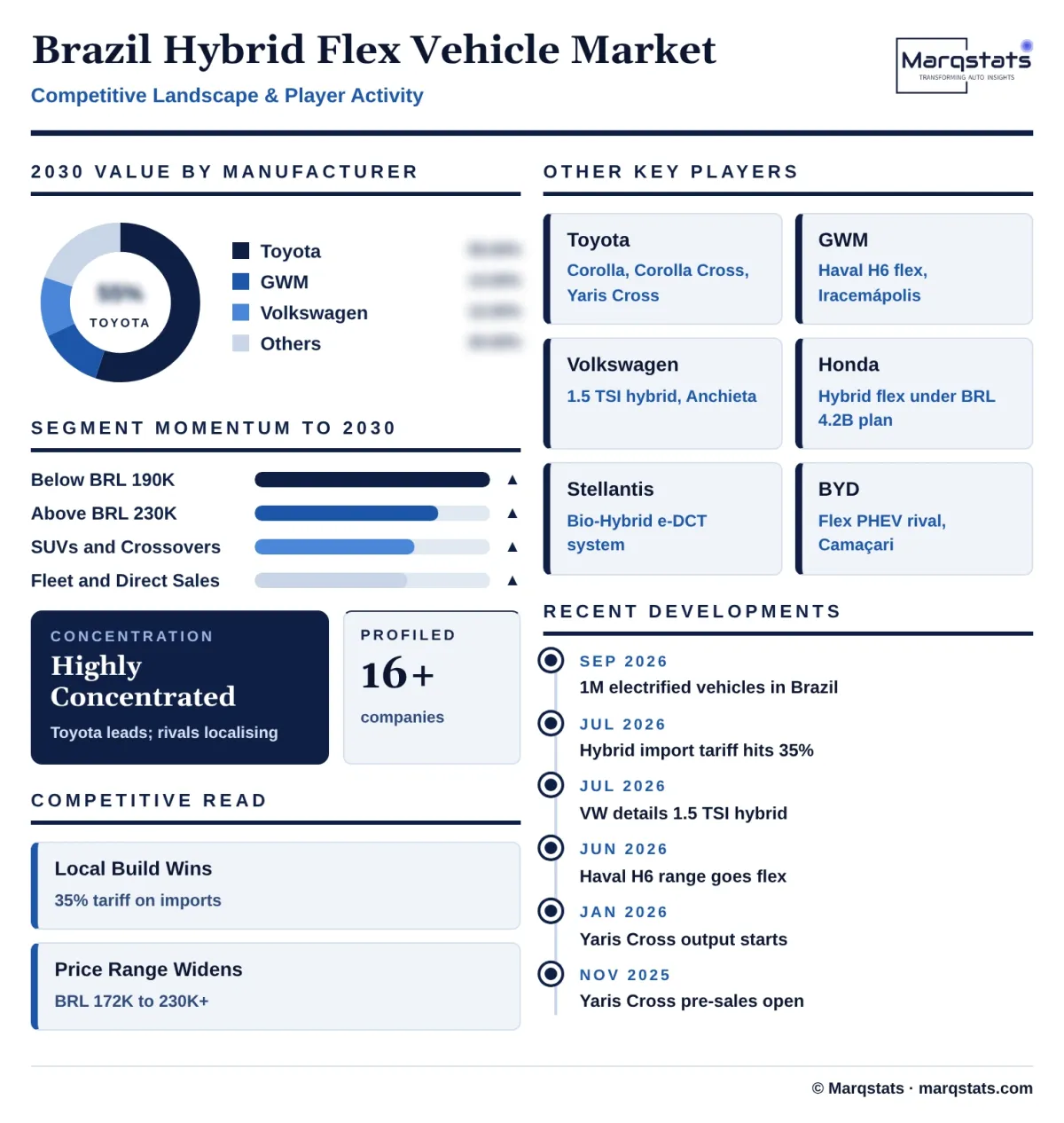 Brazil Hybrid Flex Vehicle Market Competitive Landscape Infographic 20261024141000