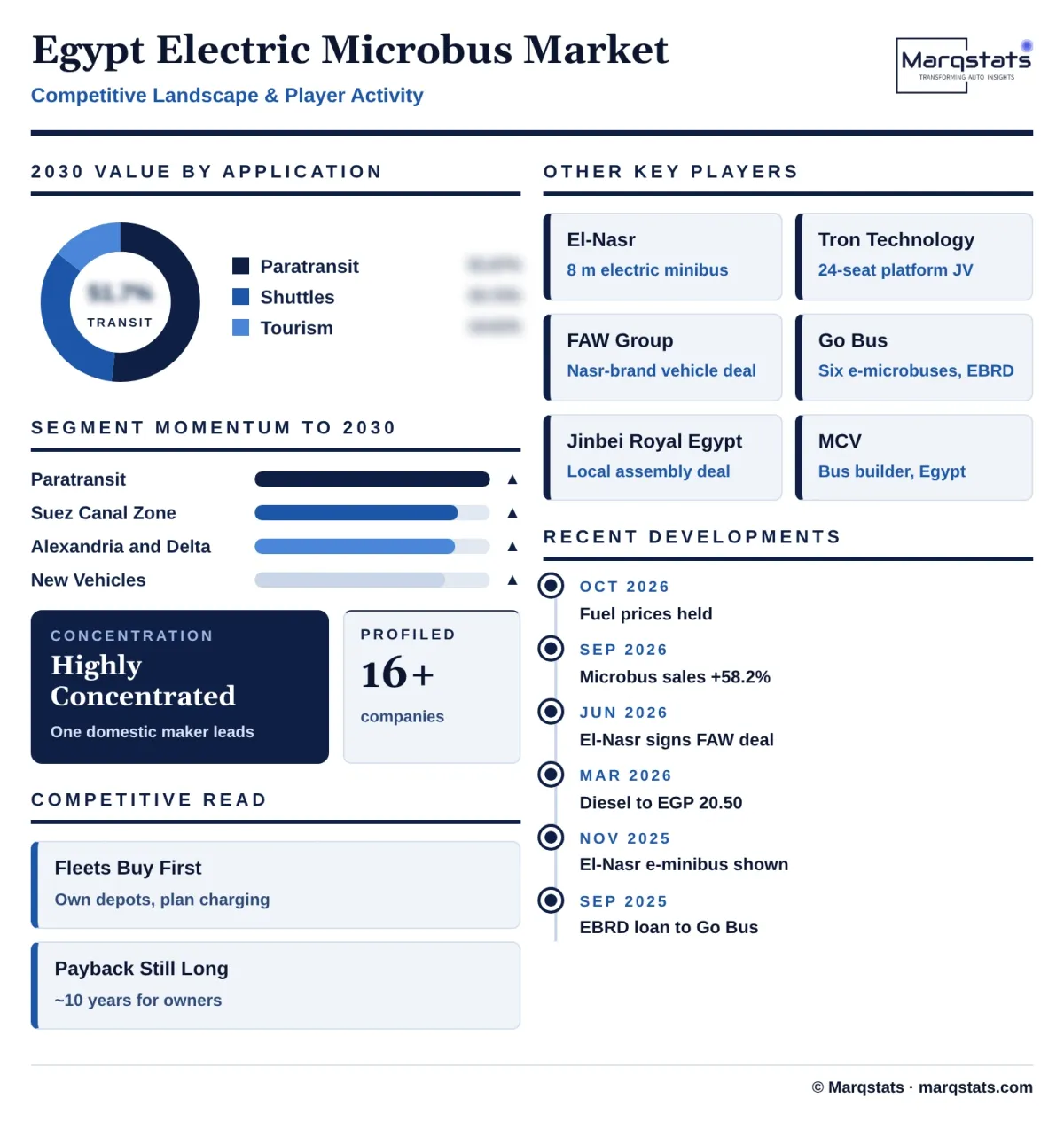 Egypt Electric Microbus Market Competitive Landscape Infographic 20261024190100