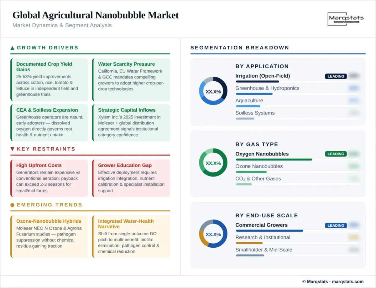 Market dynamics illustration