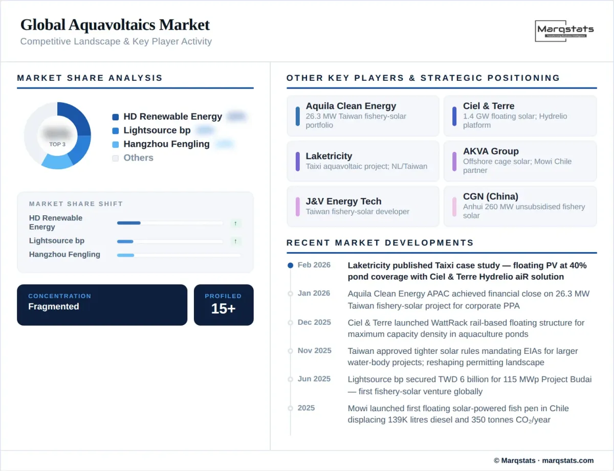 Global Aquavoltaics Market Competitive Landscape Infographic