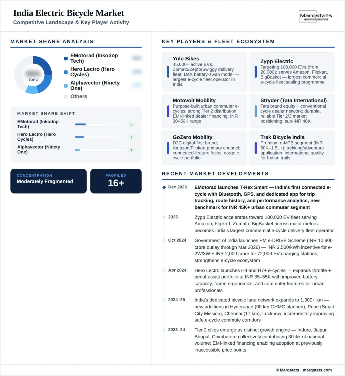 India Electric Bicycle Market Competitive Landscape Infographic