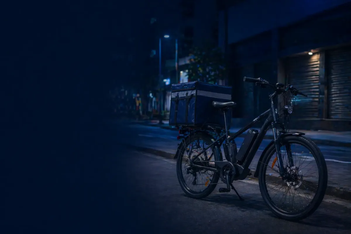 India Electric Bicycle Market