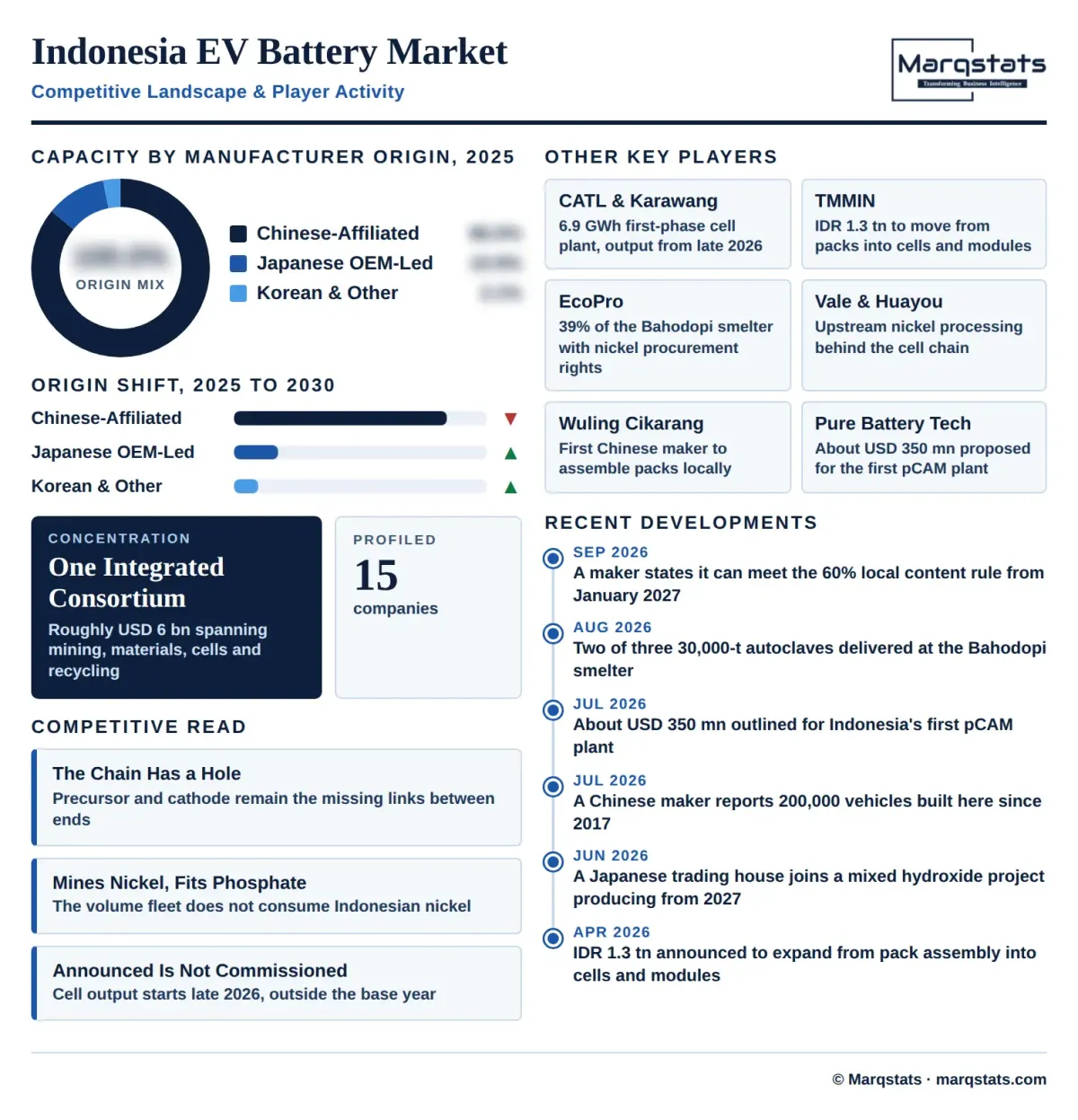 Indonesia EV Battery Market Competitive Landscape Infographic