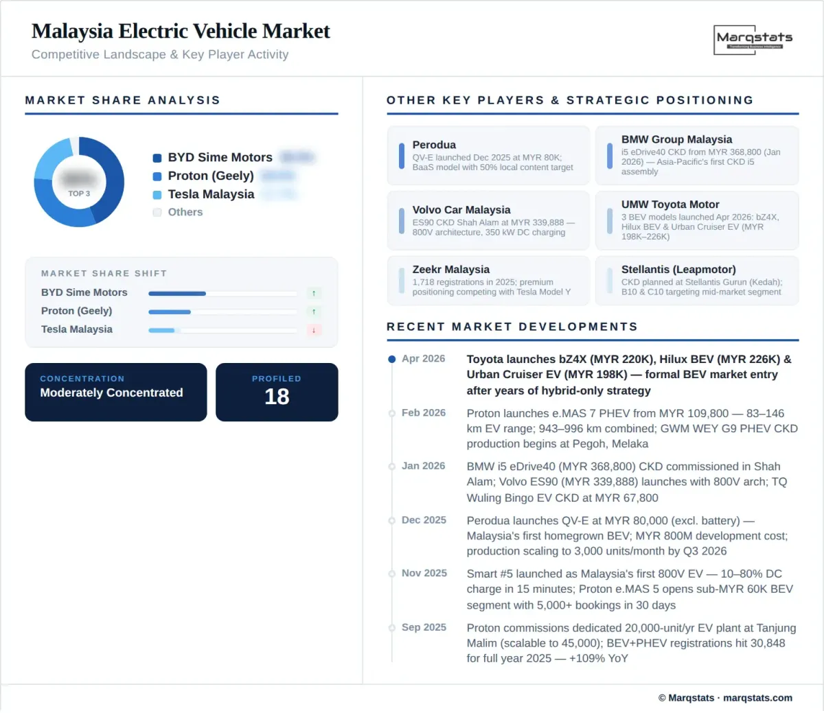 Malaysia Electric Vehicle Market Competitive Landscape Infographic