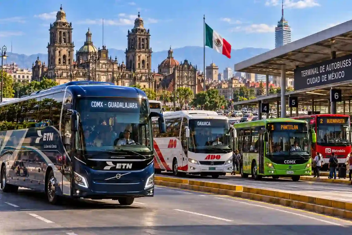Mexico Bus and Coach Market Size, Share & Forecast 2026 – 2030 — Cover