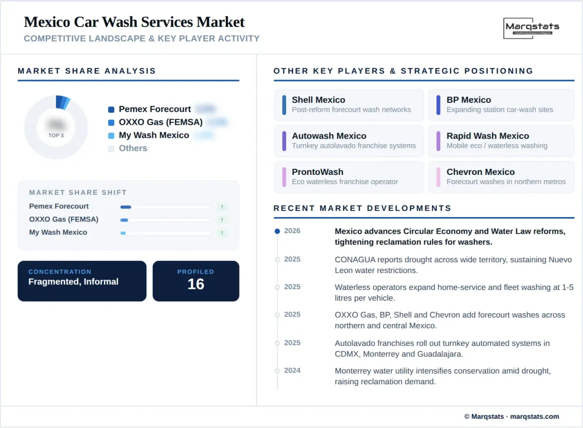 Mexico Car Wash Services Market Competitive Landscape Key Player Activity Infographic