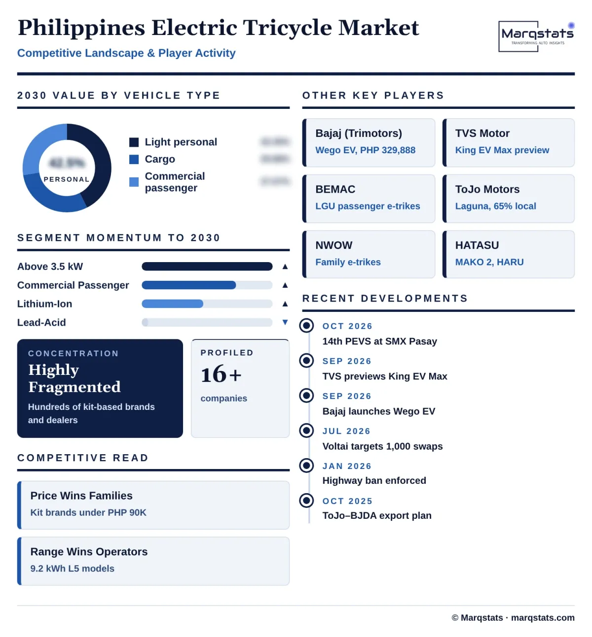 Philippines Electric Tricycle Market Competitive Landscape Infographic 20261024191300