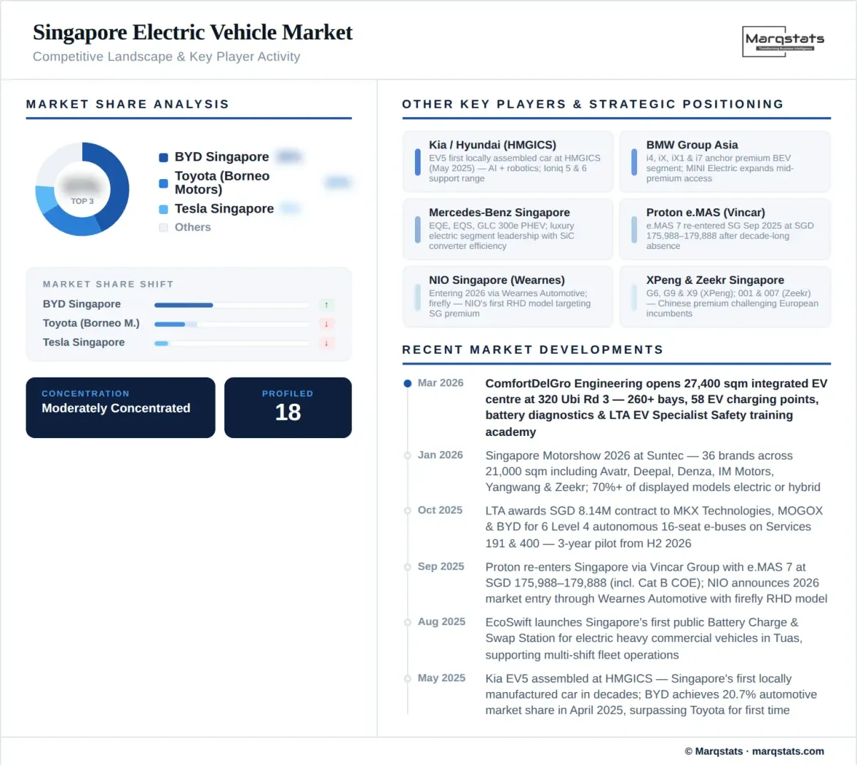 Singapore Electric Vehicle Market Competitive Landscape Infographic