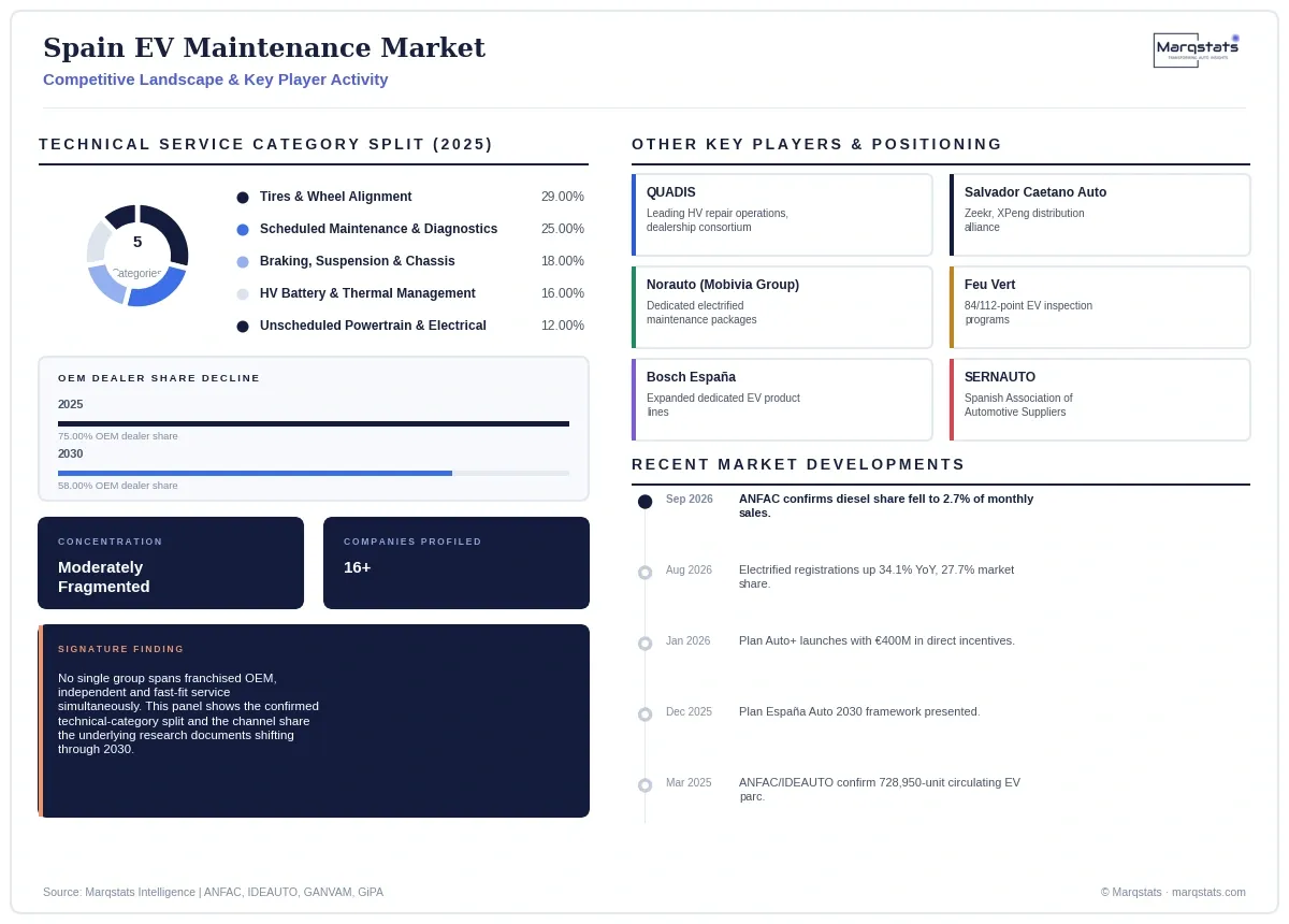 Spain EV Maintenance Market Competitive Landscape Infographic 20260923162028