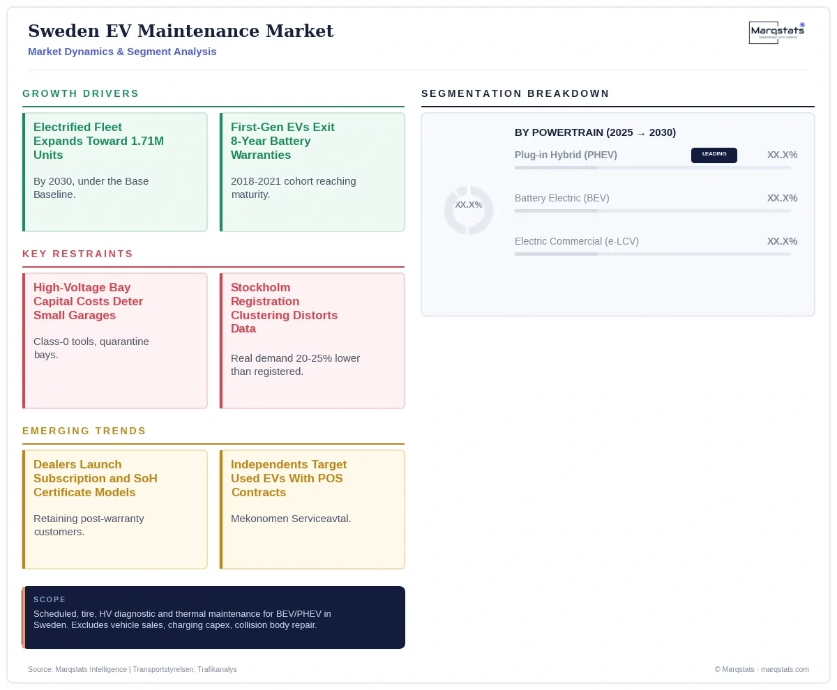 Sweden EV Maintenance Market Dynamics Segment Analysis Infographic 20260925090957