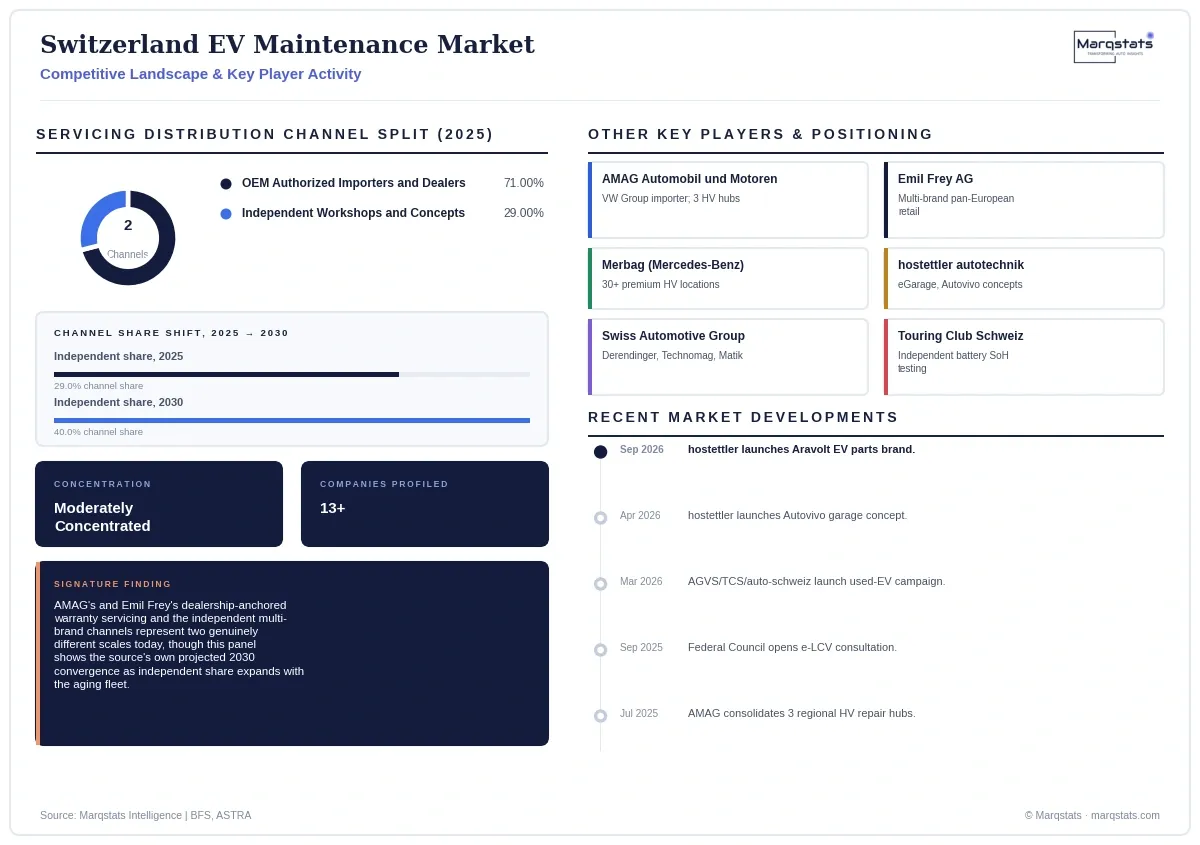 Switzerland EV Maintenance Market Competitive Landscape Infographic 20260925084801 Switzerland EV Maintenance Market Competitive Landscape Infographic 20260925084801