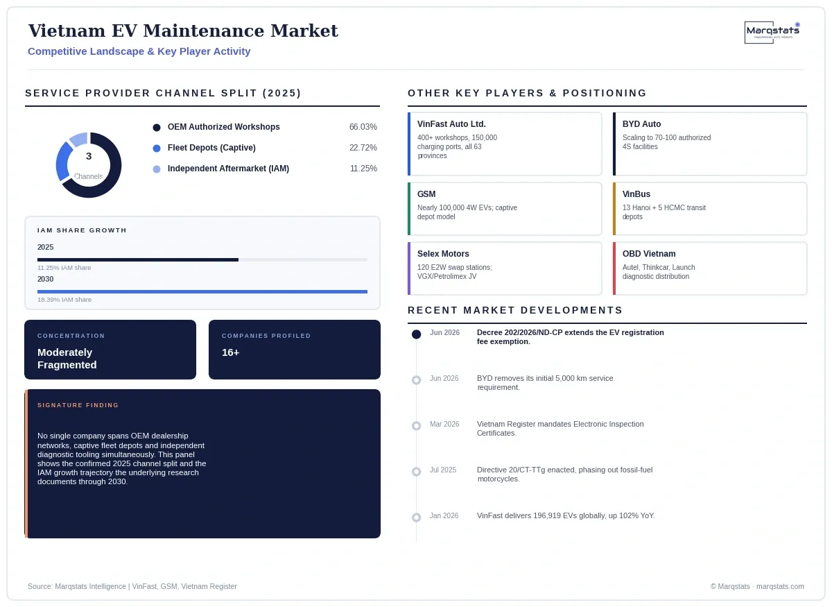 Vietnam EV Maintenance Market Competitive Landscape Infographic 20260923180634